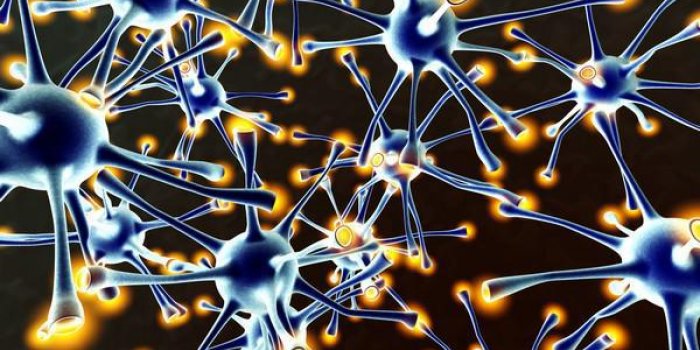 Cerveau : 5 mythes courants sur la mémoire
