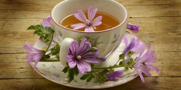 10 secrets de personnes qui ne tombent jamais malade