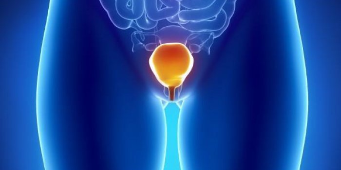 Soins palliatifs : quels sont les signes d'une fin de vie ?