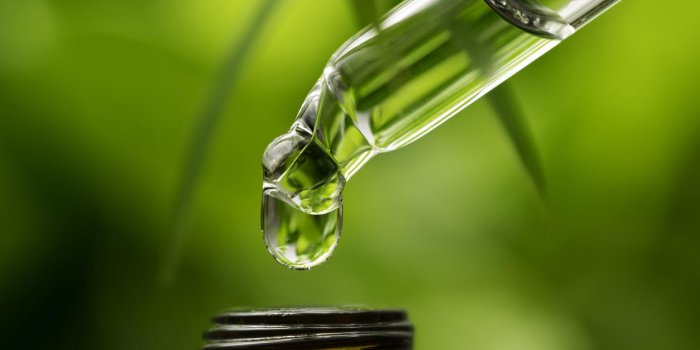 7 huiles essentielles à diffuser pour chasser les microbes hivernaux