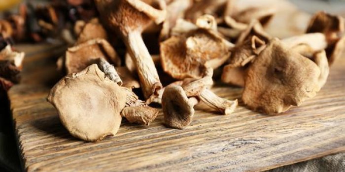 20 aliments riches en vitamine B