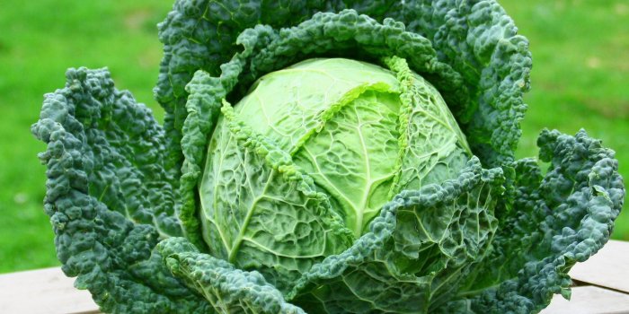 Migraine : un régime à base de légumes feuilles aiderait à les soulager