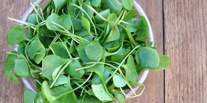 Hypertension : un nutritionniste recommande ces 9 aliments riches en nitrates