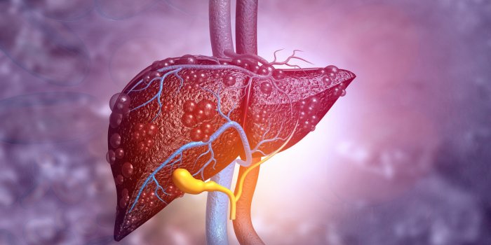 Covid-19 : quelles sont les sÃ©quelles du coronavirus ?