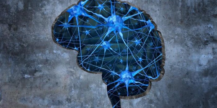 Régime méditerranéen : 5 bonnes raisons de vous y mettre