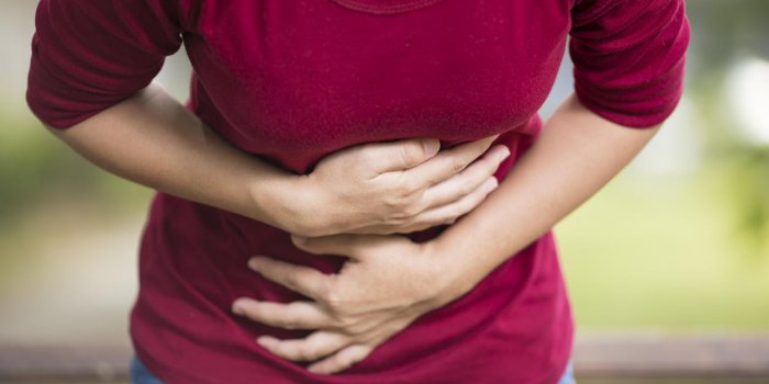 7 rÃ¨gles pour ne pas Ãªtre malade aprÃ¨s un pique-nique 