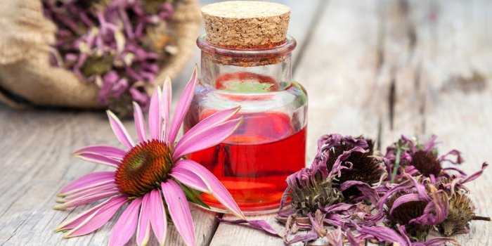 12 astuces naturelles pour ne pas tomber malade