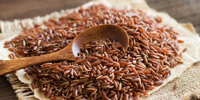 20 aliments riches en vitamine B