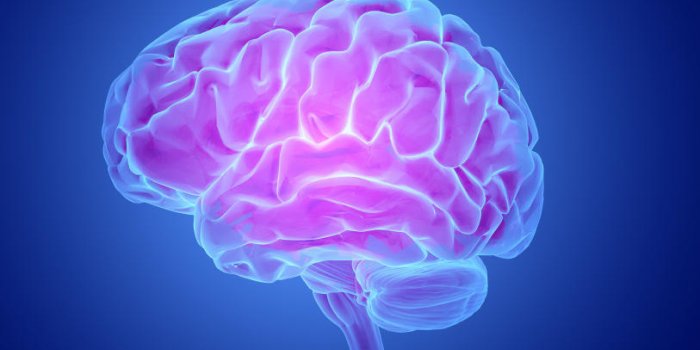 Fraises : 7 bienfaits prouvÃ©s par la science 