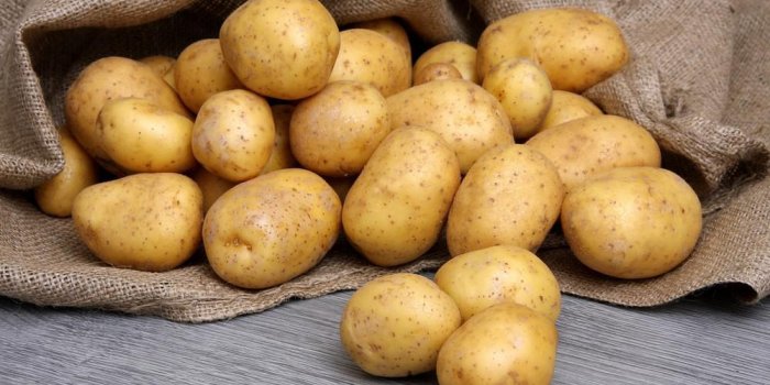 Régime : faut-il supprimer les aliments riches en lectine ?