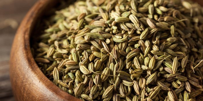 Gaz intestinaux, ballonnements : 10 plantes contre la digestion difficile