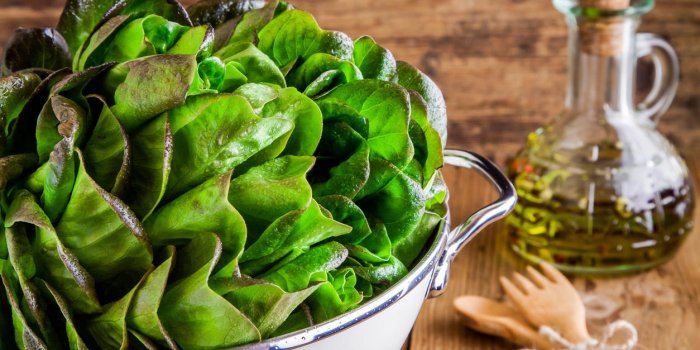 Migraine : un régime à base de légumes feuilles aiderait à les soulager