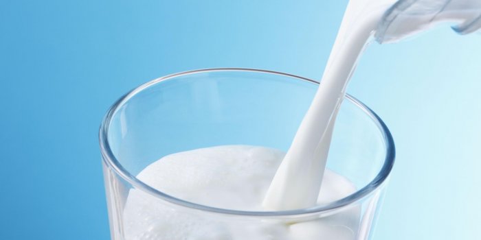 20 aliments riches en vitamine B