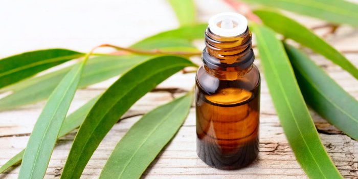 7 huiles essentielles à diffuser pour chasser les microbes hivernaux