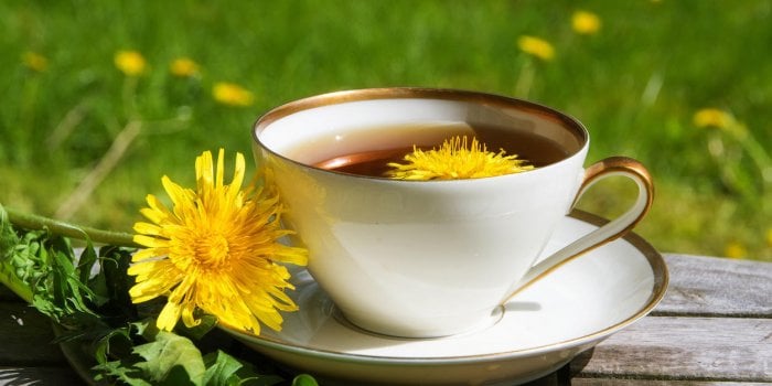 DÃ©tox du foie : 8 plantes pour le nettoyer 