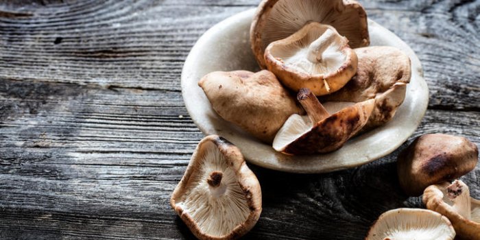 Les champignons de Paris