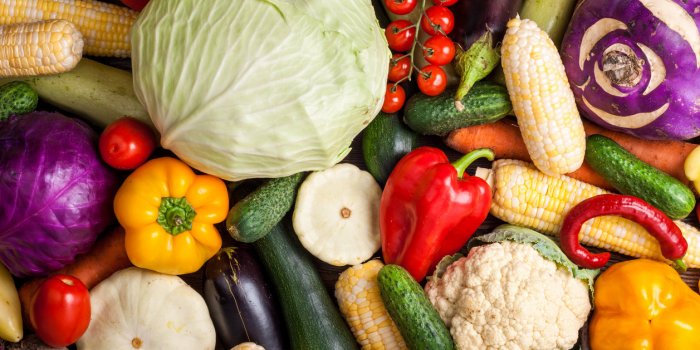 Alimentation : 7 conseils pour manger équilibrée selon lâOMS