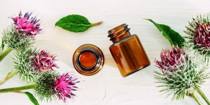 DÃ©tox du foie : 8 plantes pour le nettoyer 