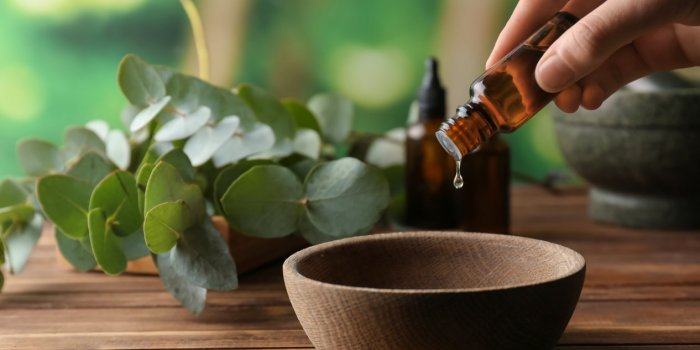 Moustiques : 6 astuces pour ne pas se faire piquer la nuit