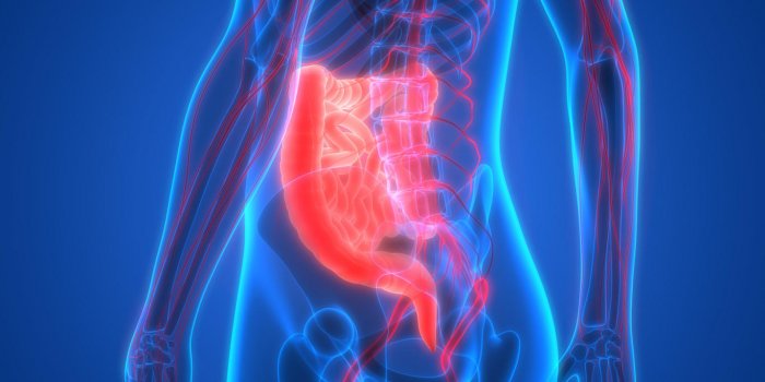 Les 7 bienfaits santé de la ciboulette