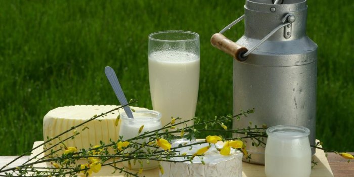 Vitamine D : 7 aliments qui en contiennent le plus 