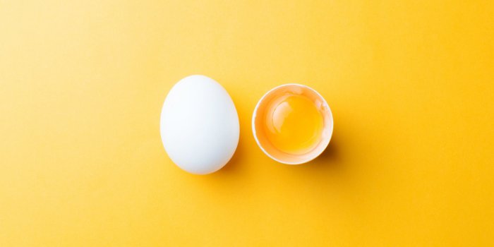 Le top 15 des aliments riches en zinc