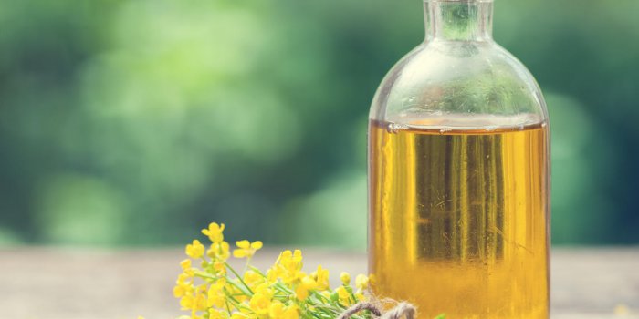 Cholestérol : 5 aliments pour maintenir les bons taux avec le régime nordique