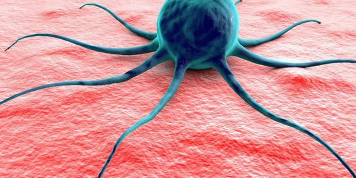 Fraises : 7 bienfaits prouvÃ©s par la science 