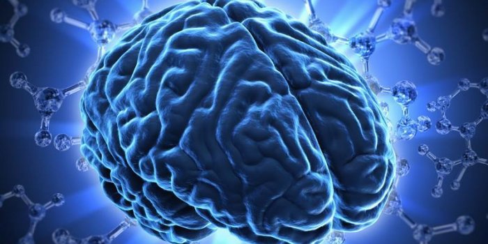 Cerveau : connaissez-vous la dÃ©mence vasculaire et ses symptÃ´mes ?