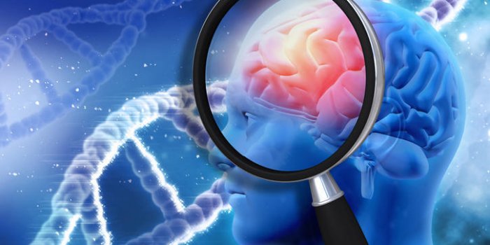 Régime cétogène : les 5 maladies graves qu'il peut entraîner