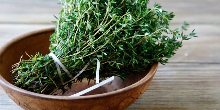 Froid : 5 plantes Ã  boire pour se rÃ©chauffer en hiver