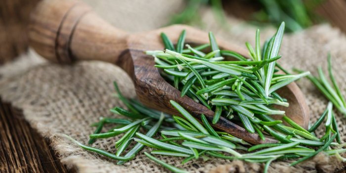 Froid : 5 plantes Ã  boire pour se rÃ©chauffer en hiver