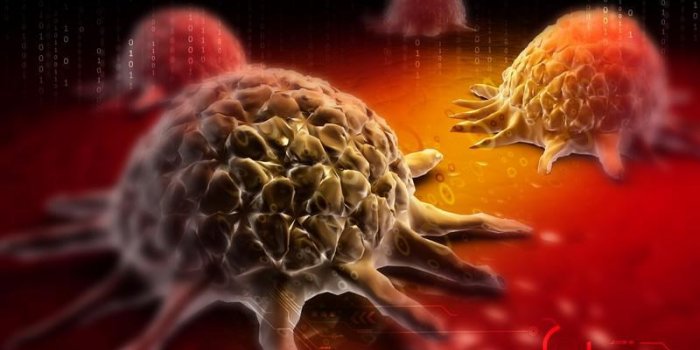 Les régimes à base de plantes peuvent prémunir contre ces 6 maladies