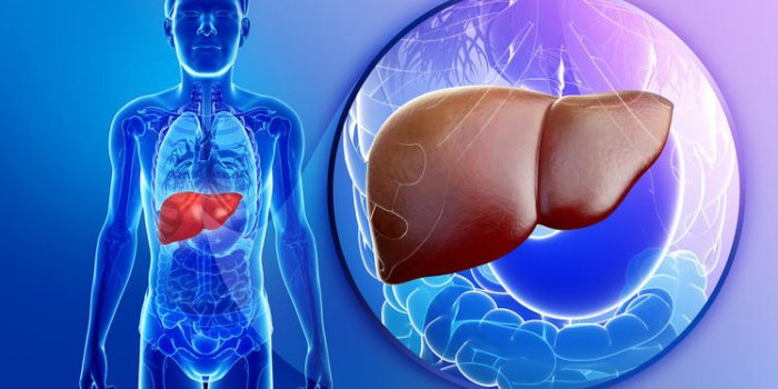 Régime cétogène : 7 cas où il n'est pas adapté
