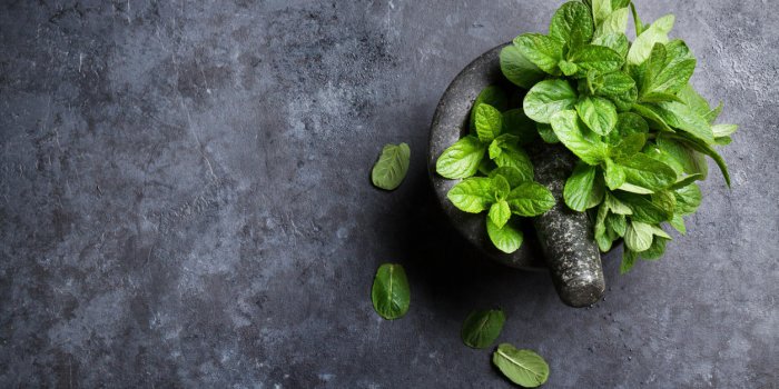 Gaz intestinaux, ballonnements : 10 plantes contre la digestion difficile