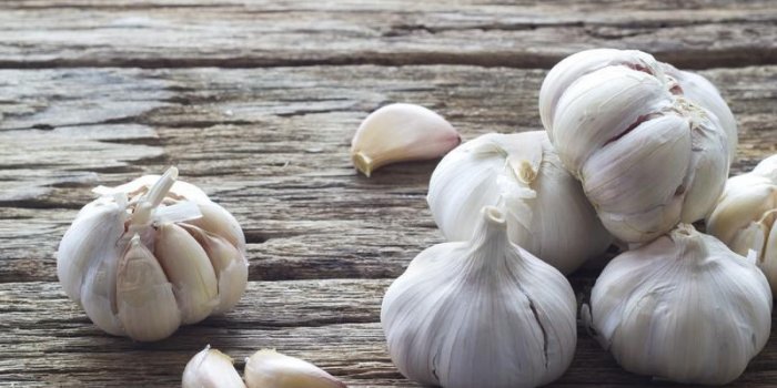 Alzheimer : ces 7 épices pourraient booster la mémoire