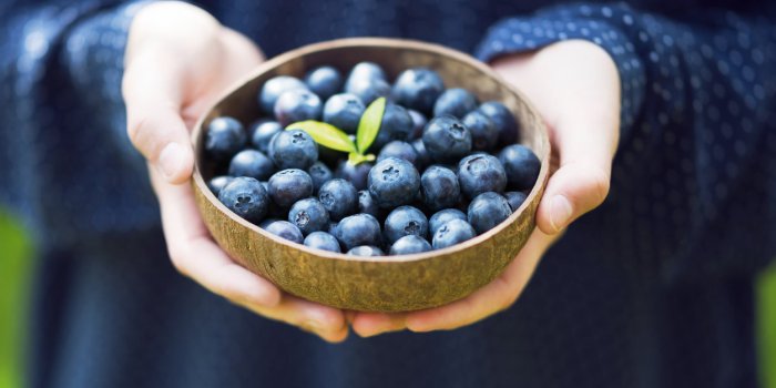 Les fruits dâété à congeler pour profiter de leurs bienfaits toute lâannée