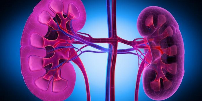 Régime cétogène : les 5 maladies graves qu'il peut entraîner