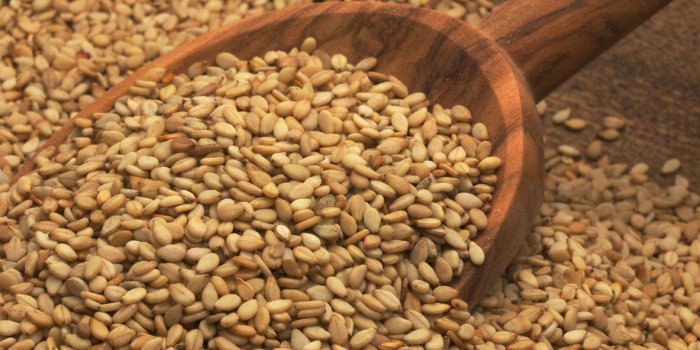 Digestion, constipation : 9 huiles vÃ©gÃ©tales qui protÃ¨gent lâestomac