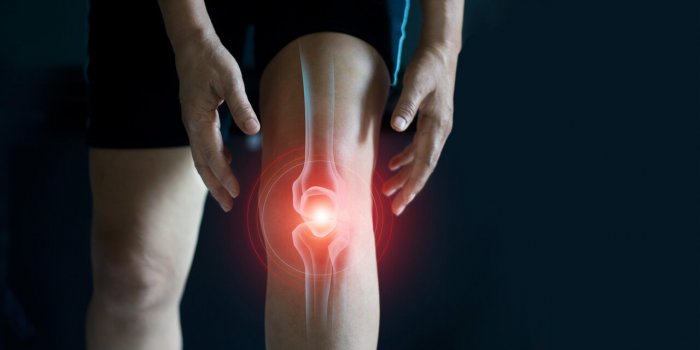 Saumon : 5 bienfaits pour la santÃ©