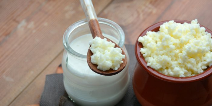 Antibiotiques : 5 aliments fermentés à manger pendant le traitement