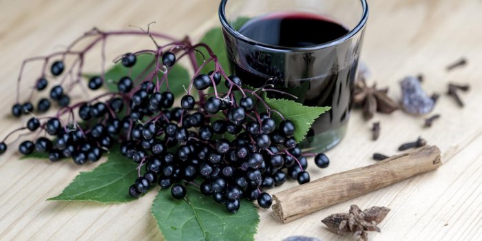 10 fruits dangereux à éviter