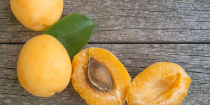 10 fruits dangereux à éviter