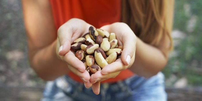 Huit nutriments indispensables pour une thyroïde en bonne santé