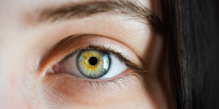 15 indices qui montrent votre intelligence selon la science