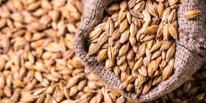15 aliments riches en mélatonine qui aident à dormir