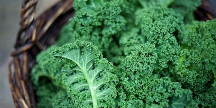 18 aliments pour faire diminuer la tension artÃ©rielle