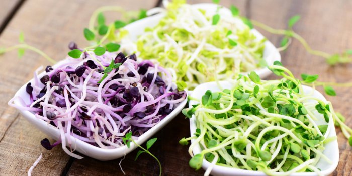 Inflammation : 7 conseils alimentaires pour y remédier