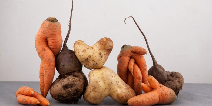 Inflammation : 7 conseils alimentaires pour y remédier