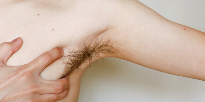 7 rÃ´les des poils pour la santÃ©